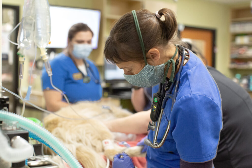 Following RECOVER Guidelines for CPCR | atDove.org